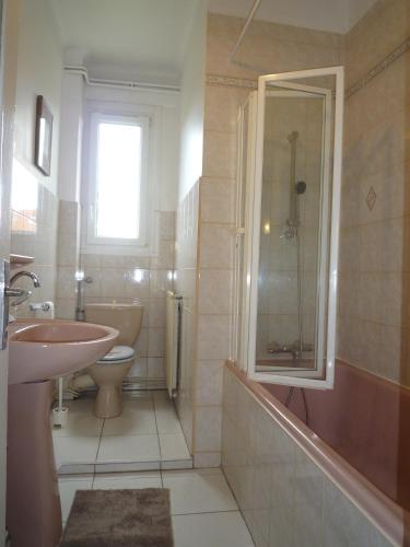 une salle de bain avec un lavabo, une douche et des toilettes dans l'établissement Appartement Hello, à Metz