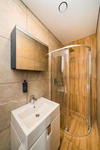 a bathroom with a sink and a shower at Zaliakalnio Terasos apartamentai 2 in Kaunas