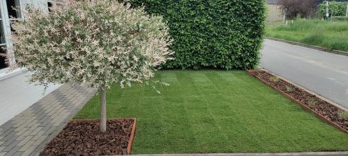 a small tree in the middle of a yard at Au Fond des Rys in Grez-Doiceau