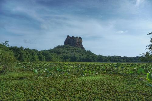 a rock formation on a hill in a field at Sashini Homestay in Sigiriya