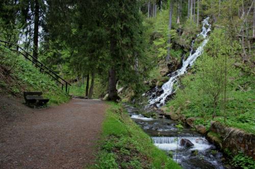 a path next to a river with a waterfall at Forest retreat apartino - u lesa, parkování zdarma, terasa & grill, soukromé ohniště, nespresso, netflix in Jeseník