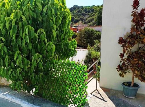 a green privacy fence in front of a plant at SleepiLi in Vrísai