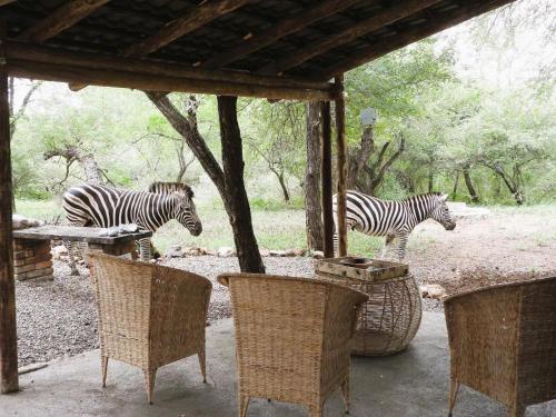 Galería fotográfica de Elephant Memories en Marloth Park