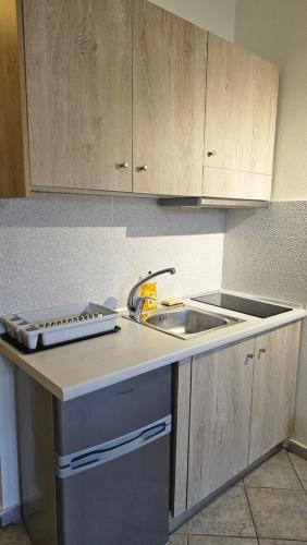 Kuchyň nebo kuchyňský kout v ubytování Joanna Apartments