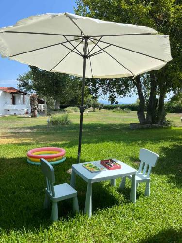 Andromeda Shell House