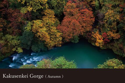 an aerial view of a river in a forest at Yamanaka Onsen Kagari Kisshotei in Kaga