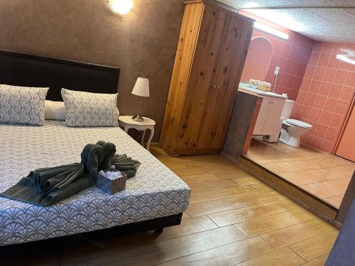 - une chambre avec un lit et une salle de bains avec un miroir dans l'établissement 2 pieces hortensias, à Mandelieu-la-Napoule