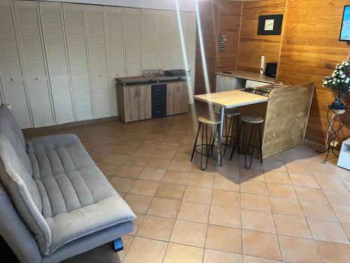 un salon avec un canapé et une cuisine dans l'établissement 2 pieces hortensias, à Mandelieu-la-Napoule