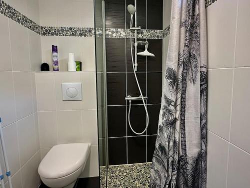une salle de bain avec un rideau de douche et des toilettes dans l'établissement La terrasse fleurie, à Salies-du-Salat