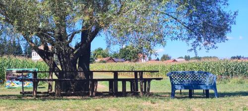 a picnic table and a bench next to a tree at Pri Fiškušu in Duga Resa