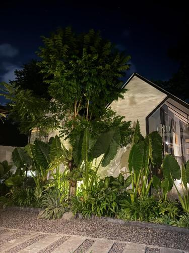 a tree in a garden in front of a house at The Jungle Hostel Canggu in Canggu