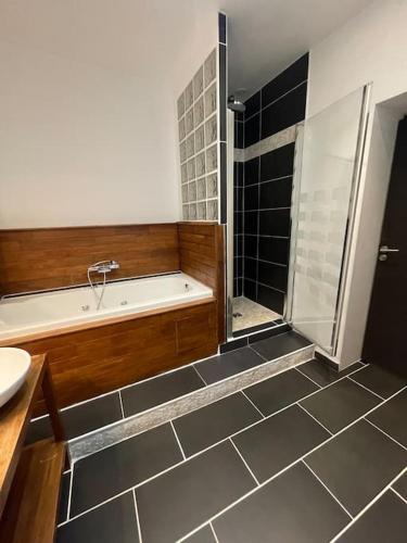 une salle de bain avec baignoire et douche dans l'établissement Hypercentre 3 chambres Cosy Bordeaux, à Bordeaux