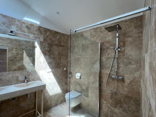 a bathroom with a shower and a toilet and a sink at Bastide du Luberon in Apt