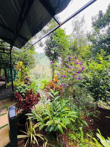 a garden with colorful flowers and plants at Fab Valley Homestay in Munnar