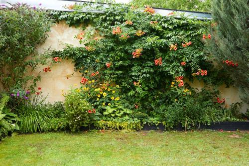a large bush with red flowers on a wall at Guesthouse with 3 apartments, just outside Berlin, near to Tesla in Burig