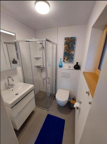 a bathroom with a shower and a toilet and a sink at Haus Ströhle in Tschagguns