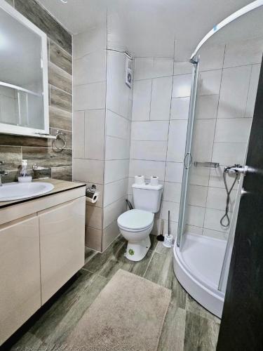 a bathroom with a toilet and a sink and a shower at Konak 20 Apartman 24 in Zlatibor