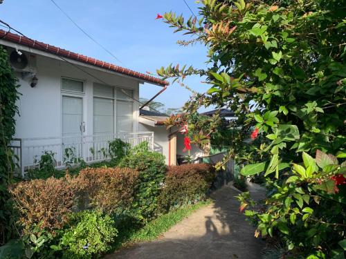 a house with a path leading to it at The Chocolate Factory House, Kandy- exclusive private apartment in Kandy