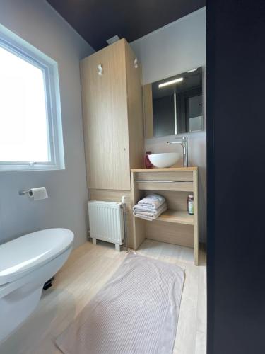 Koupelna v ubytování Chalet 3 slaapkamers Oasis 19