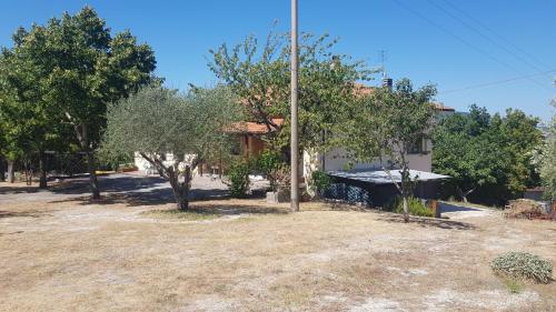 Φωτογραφία από το άλμπουμ του VILLA DUE TIGLI σε Arcevia