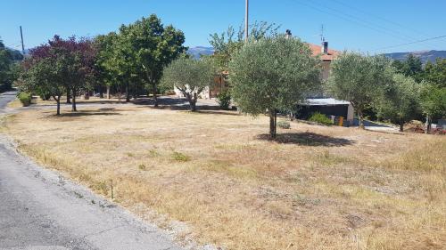 Φυσικό τοπίο κοντά σε αυτή η παραθεριστική κατοικία