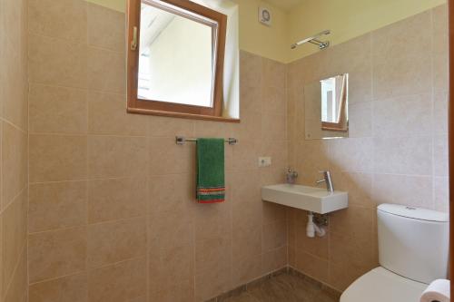 a bathroom with a toilet and a sink and a mirror at House with sauna and jacuzzi in Jūrmala