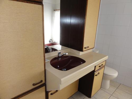 a bathroom with a sink and a toilet at Gîte La Jaujon in Lablachère
