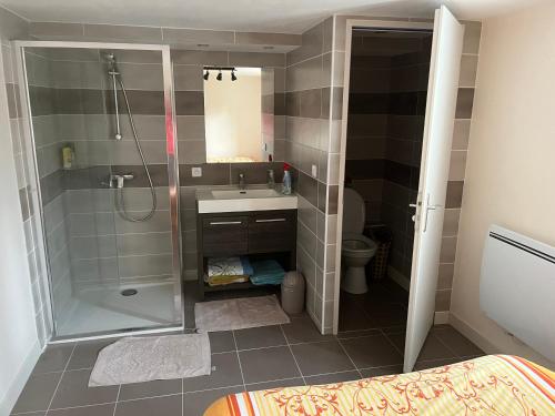 une salle de bain avec douche et lavabo dans l'établissement Location Chambre, à Villefranche-du-Queyran
