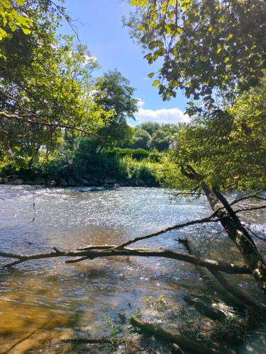 a river with a tree branch laying in the water at La petite maison Durbuy in Durbuy