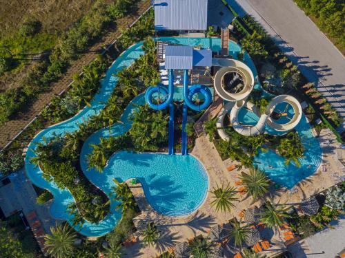 an overhead view of a pool at a resort at Hyatt Regency Coconut Point Resort & Spa Near Naples in Bonita Springs