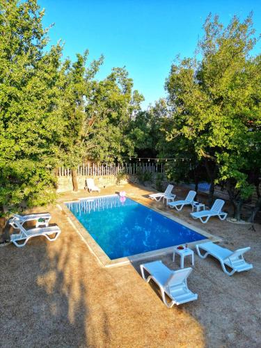 a swimming pool with chaise lounge chairs and trees at Beit Mema in Aḑ Ḑahr