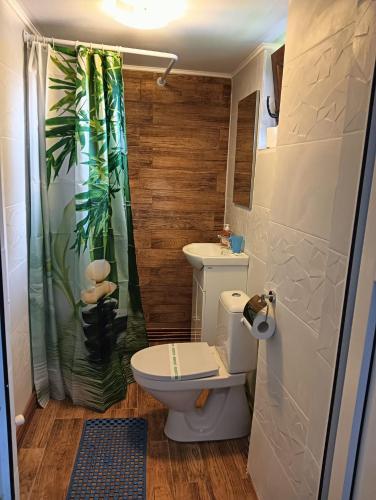 a bathroom with a toilet and a shower at Casa Family Time in Cavnic
