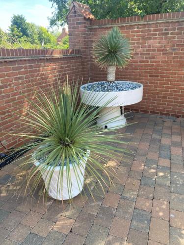 two potted plants sitting next to a brick wall at Kingsbarns in Scunthorpe