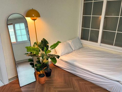 a bed in a room with a mirror and a plant at Jnineguesthouse in Seoul