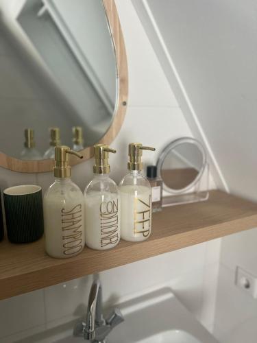 a bathroom with three soap bottles on a shelf at Hartje Bergen in Bergen
