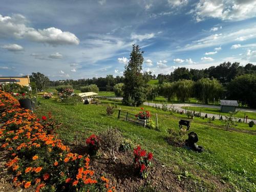 a garden with flowers and a cow in a field at ILSA camping in Bauska