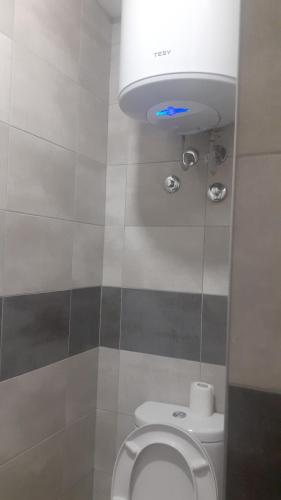 a bathroom with a toilet with a light above it at Udobna Soba Sa Prelepim Pogledom #4 in Mladenovac