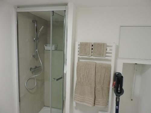a bathroom with a shower with a glass door at Charmant appartement à Herblay centre, proche gare, 22 min de Paris St Lazare in Herblay