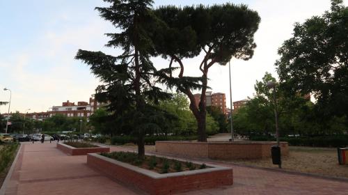 AMA MADRID Metropolitano 17