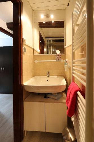une salle de bain avec un lavabo et un miroir dans l'établissement Chalet Saint Roch Montgenevre, à Montgenèvre