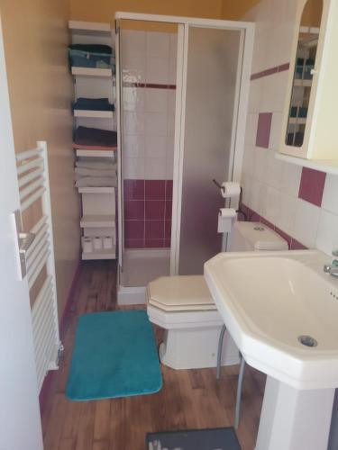 une salle de bain avec un lavabo, des toilettes et une douche dans l'établissement Maison de vacances à Roscanvel, à Roscanvel