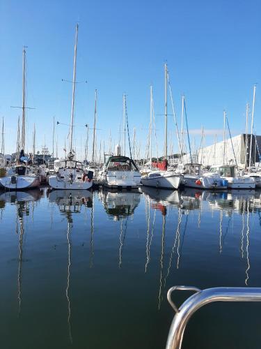un groupe de bateaux amarrés dans un port dans l'établissement Le chant des mouettes - Voilier, à Boulogne-sur-Mer