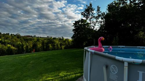 un flamingo rose assis sur le côté de la piscine dans l'établissement Maison Du Silence, à Saint-Maurice-près-Pionsat