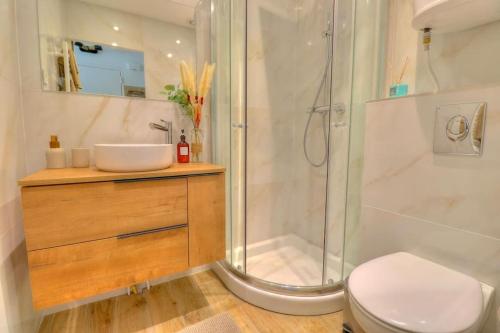 a bathroom with a shower and a sink and a toilet at Charmant Studio rénové à Antibes, plage à 10 min à pied in Antibes