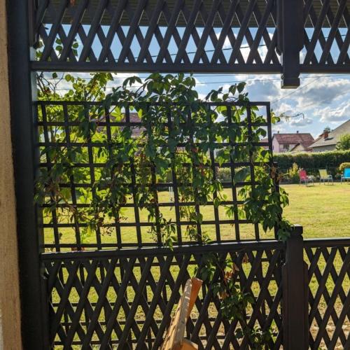 a fence with a plant growing on it at Dolce Vita in Kragujevac