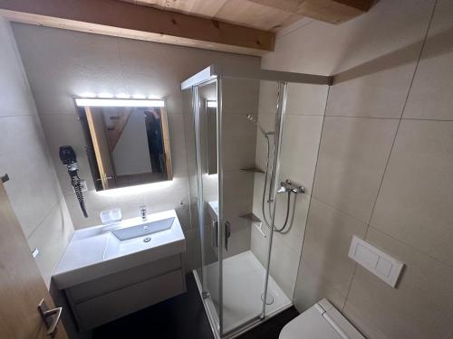 a bathroom with a shower and a sink and a mirror at AxAlp Gipfelglück in Axalp
