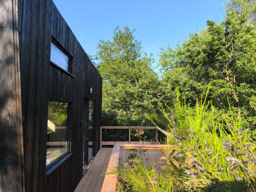 Moose Tiny House Basalt