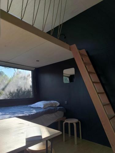 une chambre avec un lit superposé et une échelle dans l'établissement Moose Tiny House Basalt, à Cros