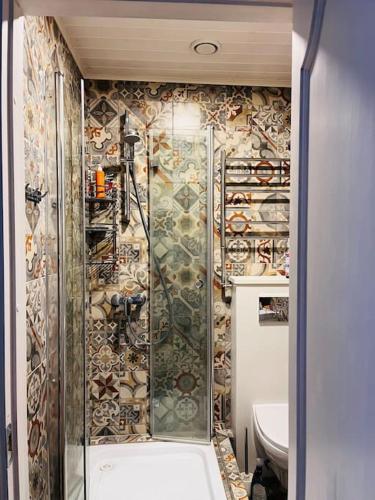 un baño con ducha y WC en Bright and cozy old town studio!, en Tallin
