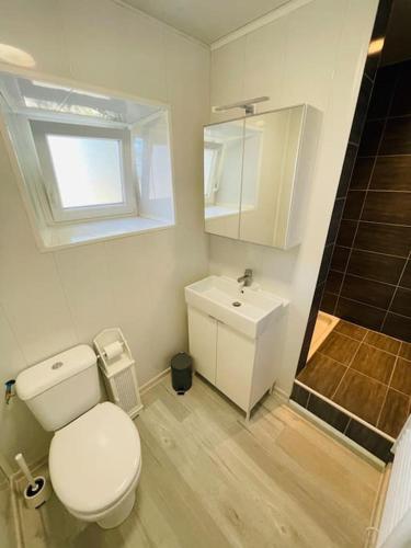 une salle de bain avec toilettes et lavabo dans l'établissement Maison calme - proche Tricastin, à Bollène